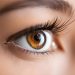Eye Examinations with Muscle Relaxants: A Closer Look